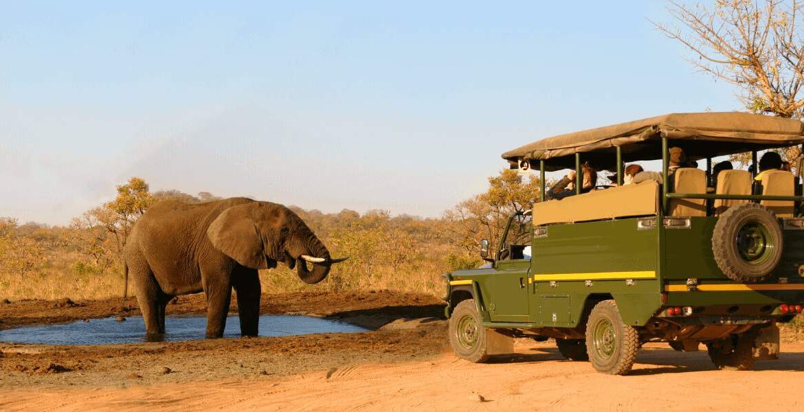 best national parks for wildlife photography in Africa