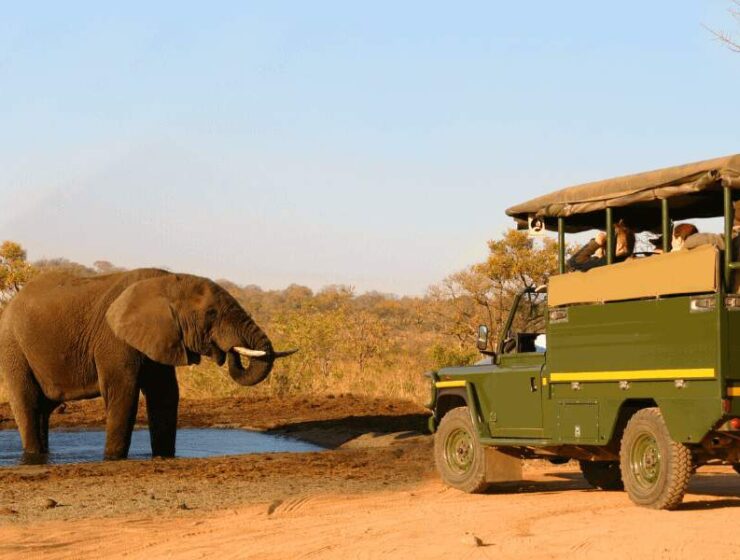 best national parks for wildlife photography in Africa