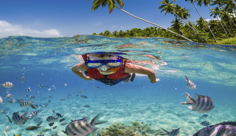 Caribbean islands perfect for snorkeling beginners