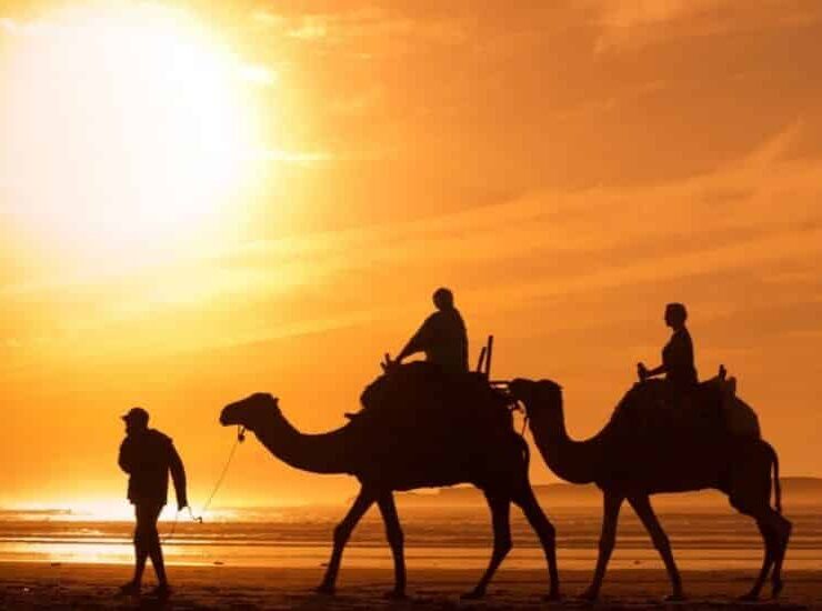 best desert travel destinations for adventure