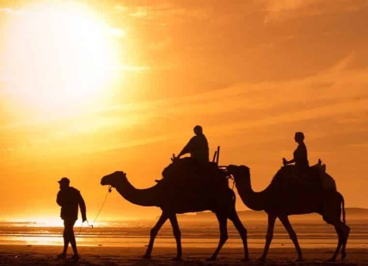 best desert travel destinations for adventure