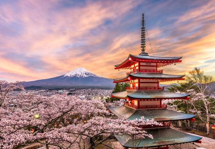 best places to visit in Japan during cherry blossom season