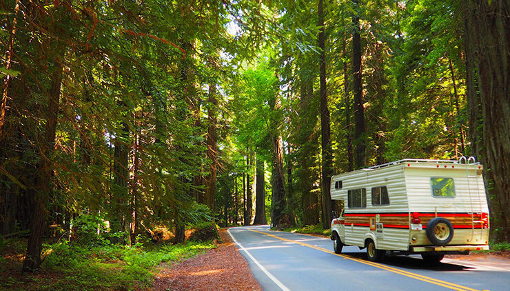 family road trip destinations with national parks