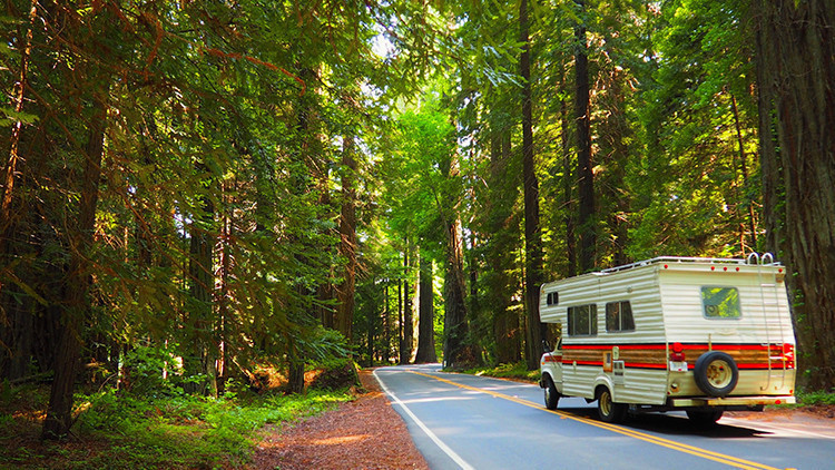 family road trip destinations with national parks