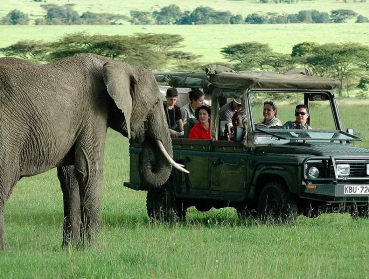 best safari tours in Kenya for first timers