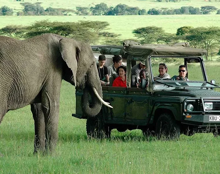 best safari tours in Kenya for first timers