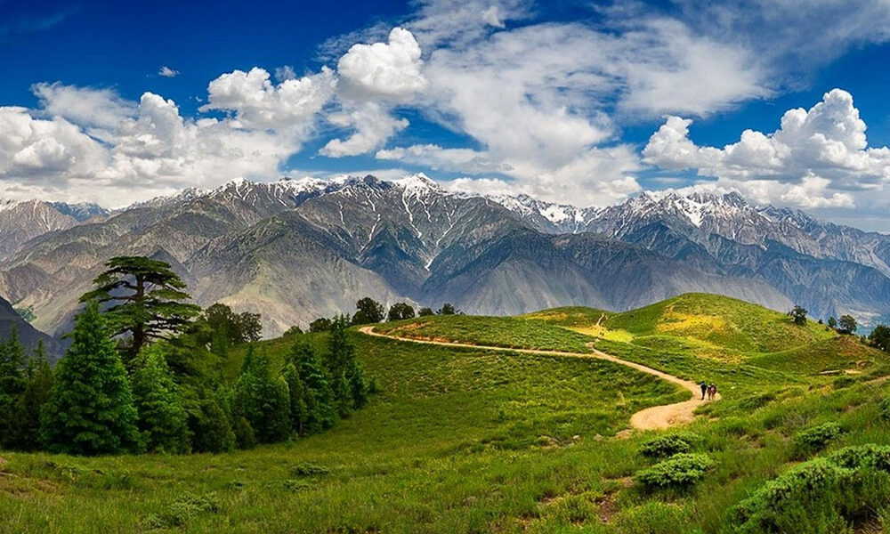 best national parks to visit for wildlife lovers