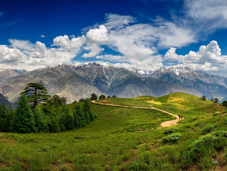 best national parks to visit for wildlife lovers