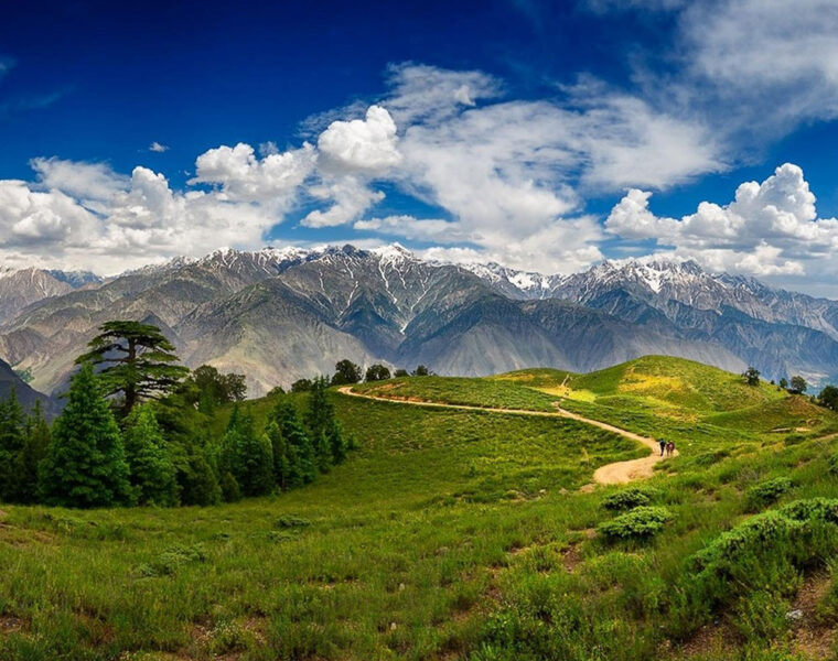 best national parks to visit for wildlife lovers