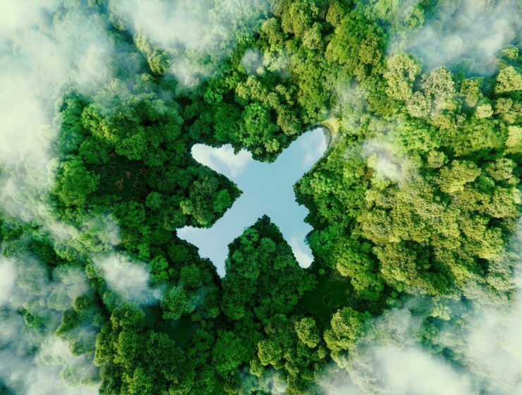 How to travel sustainably and responsibly